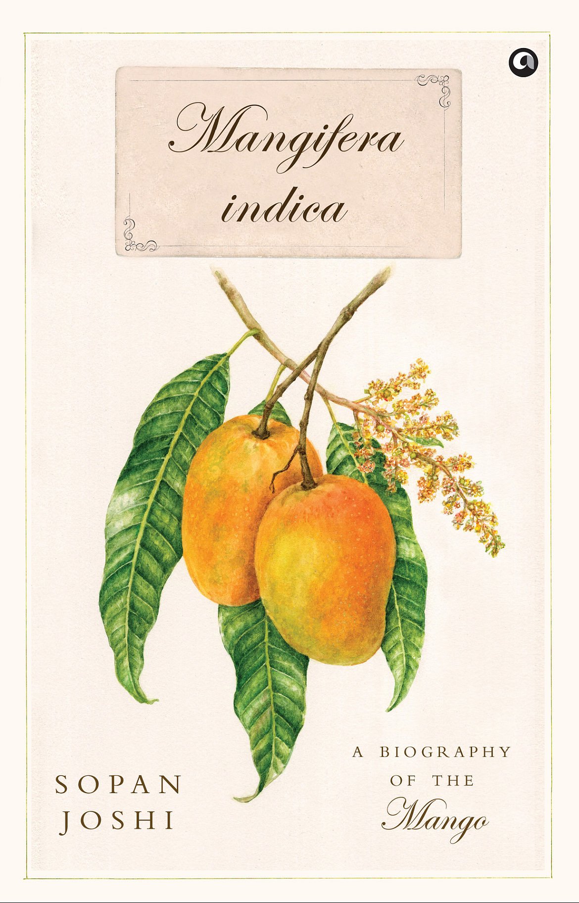 Cover of Mangifera Indica